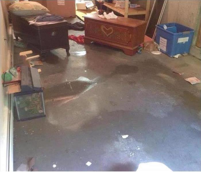 standing water on the carpeting of a room in a house