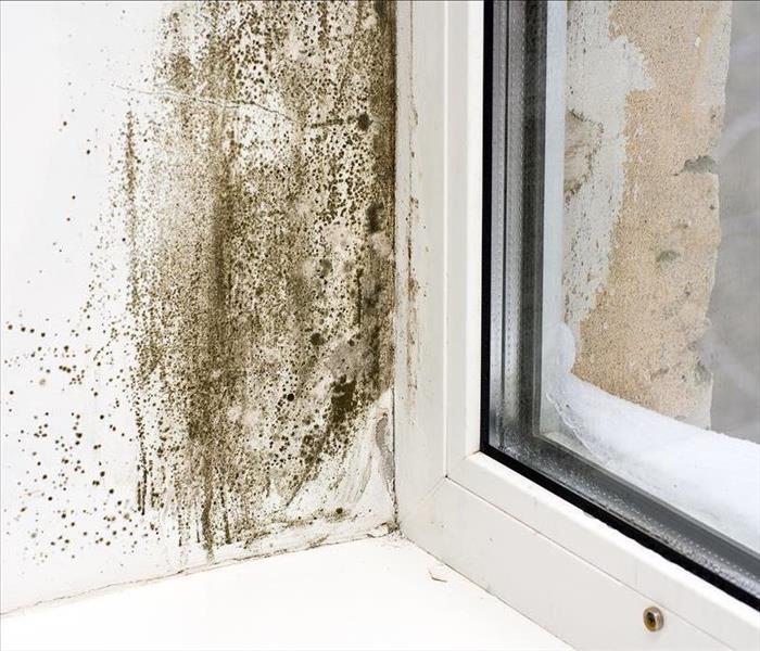 Black mold patches on a wall by a window with a lot of moisture