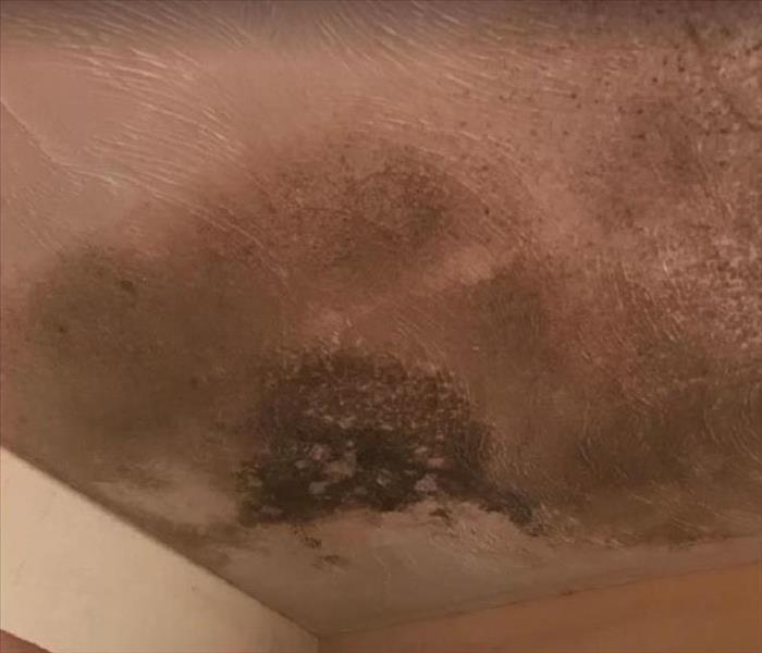 mold damage on ceiling