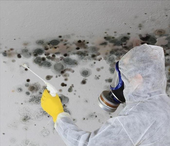 man cleaning mold