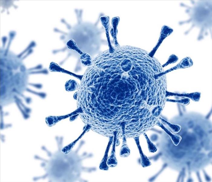 microscopic image of virus