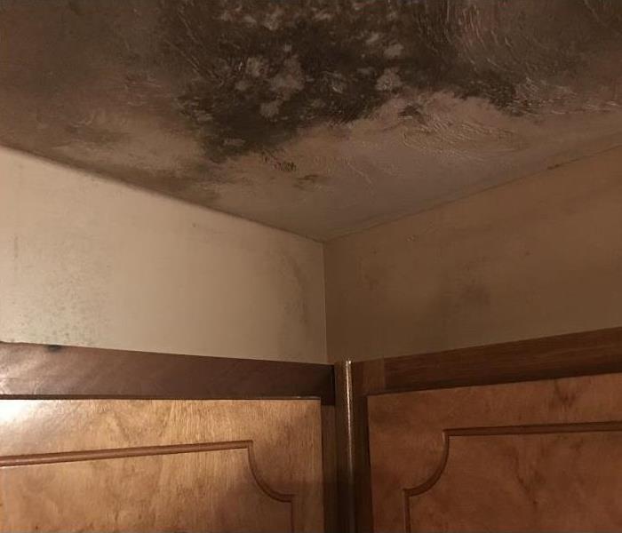 mold damage on ceiling and walls above cabinets