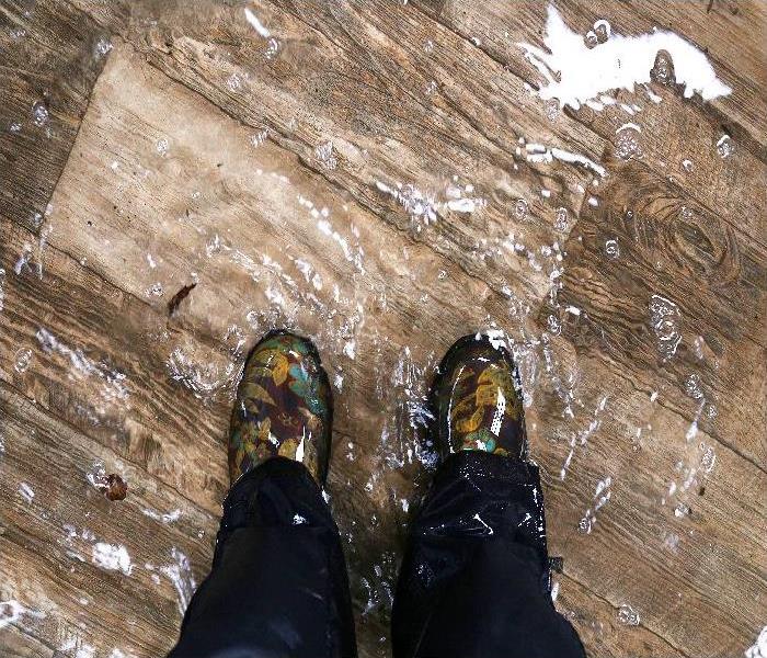 Waterproof Boots, Standing in a Flooded House with Vinyl Wood Floors