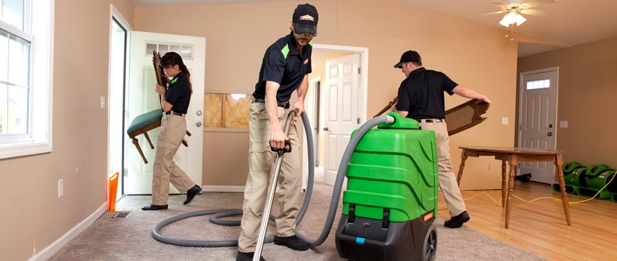 Tallahassee, FL cleaning services